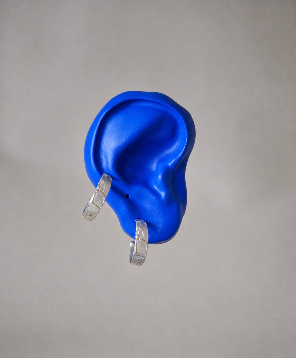 Blue ear with silver earrings on a grey background